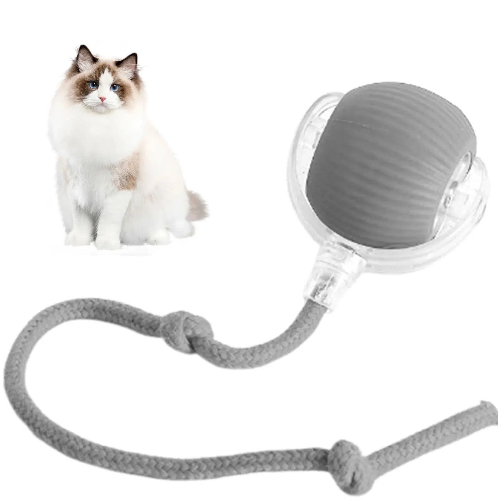 Lettuce Interactive Cat Toys Rolling Ball